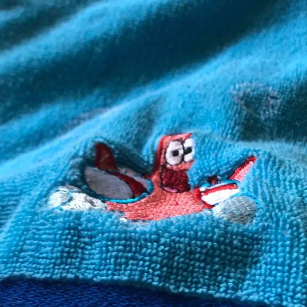 Embroidered Red Cartoon Airplane on Teal Terry Cloth